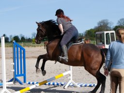 IMG_0604_web